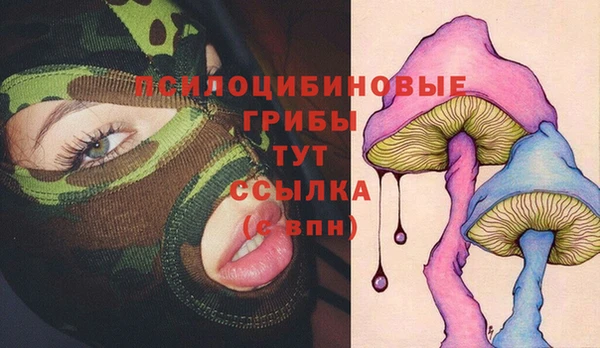 дживик Алексин