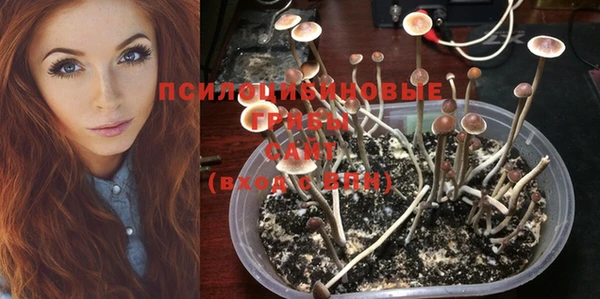 кокс Алзамай